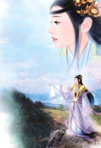 摄天下:妃夺君心